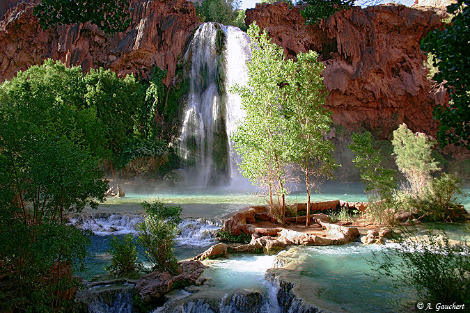 Morning At Havasu Fall